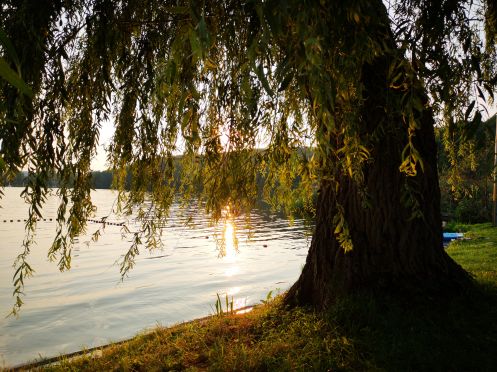 Praxis Dennis Knorr - Bildungsurlaub Sommer am See!  “Leichtigkeit finden – Feldenkrais®” am Ratzeburger See mit Dennis Knorr