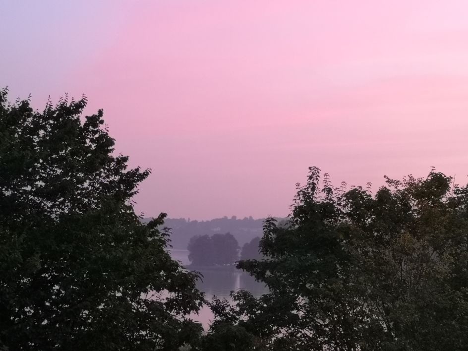 Praxis Dennis Knorr - Bildungsurlaub Sommer am See!  “Leichtigkeit finden – Feldenkrais®” am Ratzeburger See mit Dennis Knorr