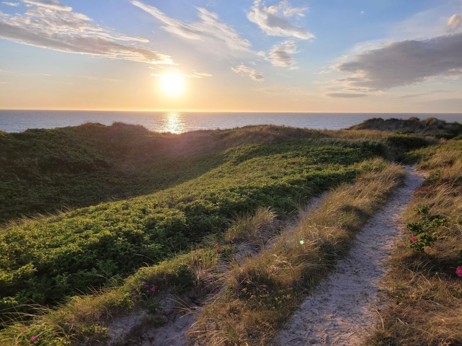 Praxis Dennis Knorr - Bildungsurlaub In meine Kraft kommen auf Sylt – mit Feldenkrais® & Somatic Experiencing (SE)®/ Platz freigeworden!