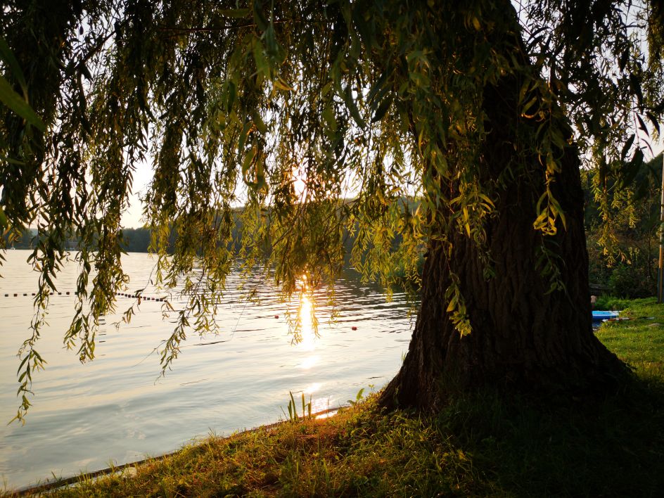 Praxis Dennis Knorr - Bildungsurlaub Raus aus dem Schmerz – Stress- und Traumabewältigung mit Somatic Experiencing® und Feldenkrais® direkt am Ratzeburger See