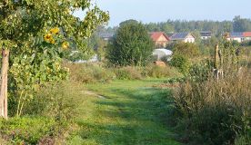 kurs