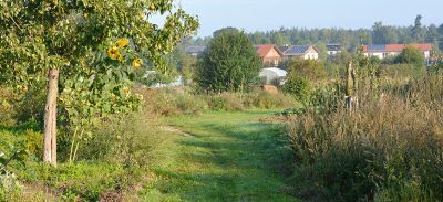 kurs