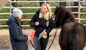 kurs