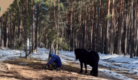 kurs