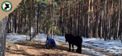 kurs