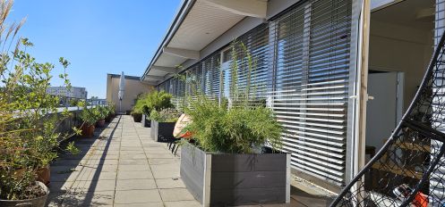 ESI Berlin - Bildungsurlaub Shiatsu Grundausbildung – Stufe 1