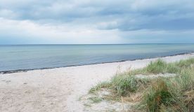 kurs