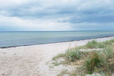 kurs
