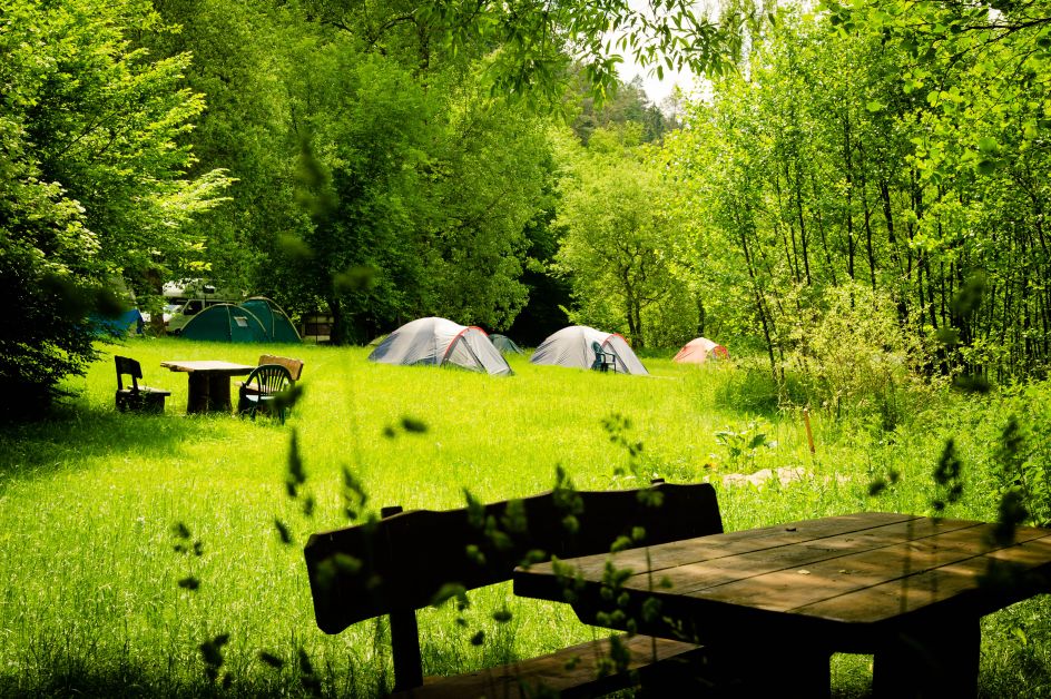 Yoga Vidya e.V. - Bildungsurlaub Schweige Retreat mit Meditation, Achtsamkeit und Stille im Westerwald
