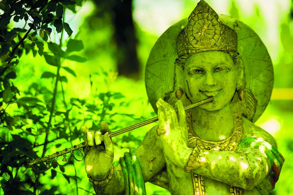 Yoga Vidya e.V. - Bildungsurlaub Faszien Yoga Trainer/in Ausbildung im Westerwald  – für Yogalehrer/-innen