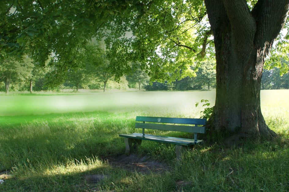 Yoga Vidya e.V. - Bildungsurlaub Shivalaya Stille Retreat im Naturparadies Teutoburger Wald