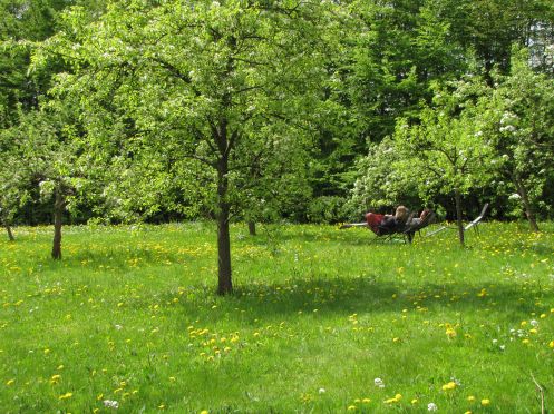 Yoga Vidya e.V. - Bildungsurlaub Selbstreflexion mit Hatha Yoga – Yogalehrer Weiterbildung im Teutoburger Wald