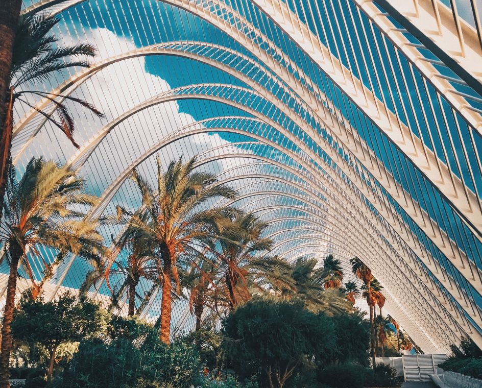 AIP Language Institute - Bildungsurlaub Bildungsurlaub Spanisch in Valencia (10 Tage vor Ort)