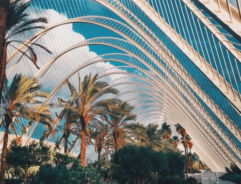 AIP Language Institute - Bildungsurlaub Bildungsurlaub Spanisch in Valencia (10 Tage online)