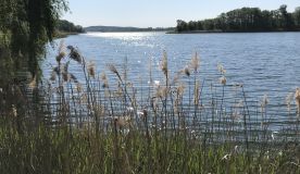 kurs