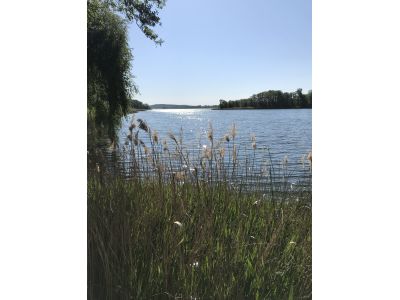 kurs