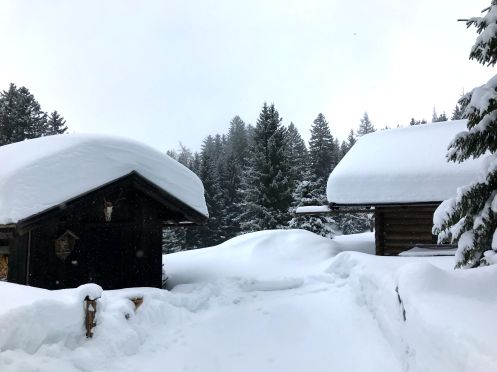 Let's Flow GmbH - Bildungsurlaub Skifahren und Resilienz stärken in Kaprun