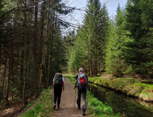 Let's Flow GmbH - Bildungsurlaub Wandern und Resilienz stärken in Bayerisch Eisenstein