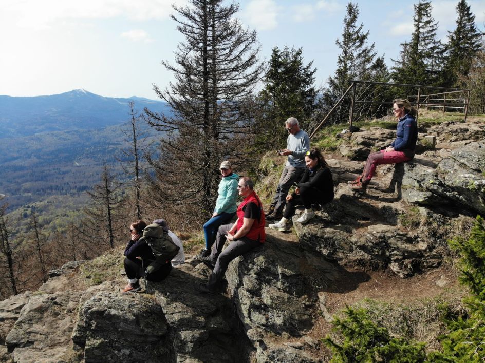 Let's Flow GmbH - Bildungsurlaub Wandern und Resilienz stärken in Bayerisch Eisenstein