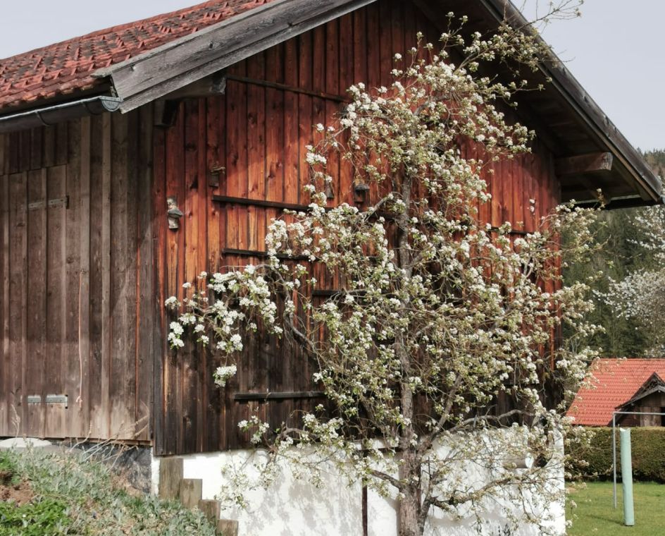 Let's Flow GmbH - Bildungsurlaub Wandern und Resilienz stärken in Bayerisch Eisenstein