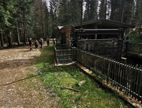Let's Flow GmbH - Bildungsurlaub Wandern und Resilienz stärken in Bayerisch Eisenstein