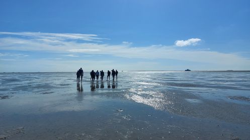 Let's Flow GmbH - Bildungsurlaub Achtsamzeit und Resilienz stärken an der Nordsee