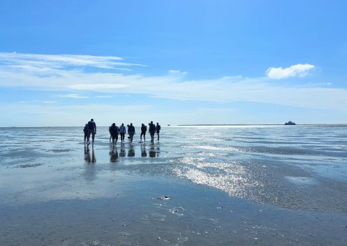 Let's Flow GmbH - Bildungsurlaub Achtsamzeit und Resilienz stärken an der Nordsee
