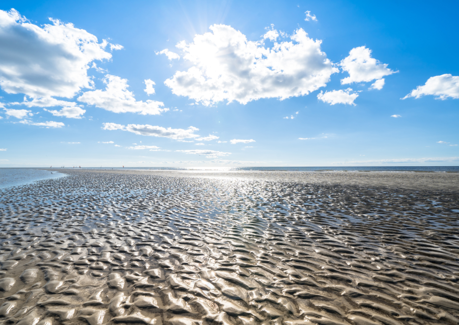Let's Flow GmbH - Bildungsurlaub Achtsamzeit und Resilienz stärken an der Nordsee