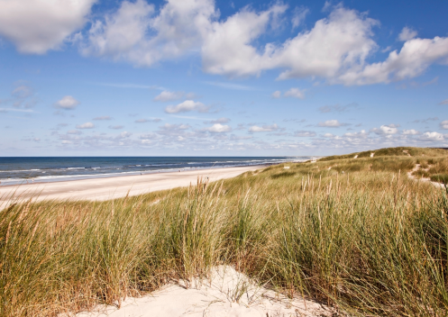 Let's Flow GmbH - Bildungsurlaub Achtsamzeit und Resilienz stärken an der Nordsee