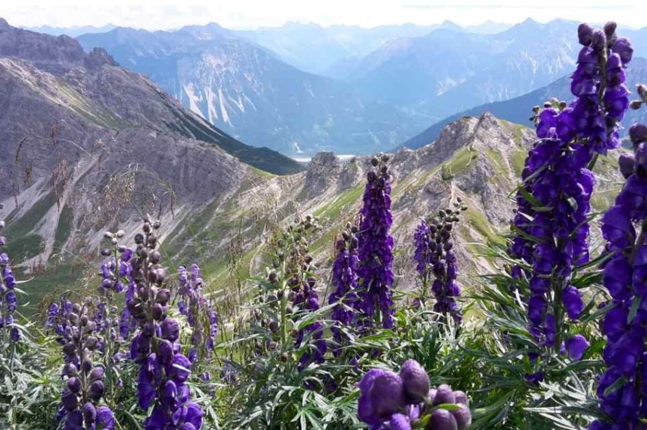 Let's Flow GmbH - Bildungsurlaub Wandern und Resilienz stärken im Allgäu