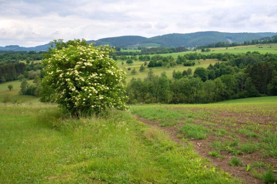Let's Flow GmbH - Bildungsurlaub Yoga und Mentale Ausgeglichenheit im Beruf in Schmallenberg