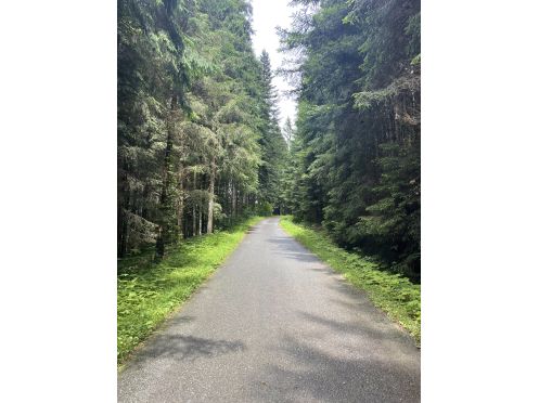 Let's Flow GmbH - Bildungsurlaub Yoga und Frauengesundheit in Reith bei Kitzbühel