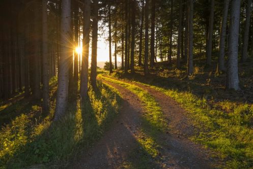 Let's Flow GmbH - Bildungsurlaub Wandern und Resilienz stärken in Schmallenberg