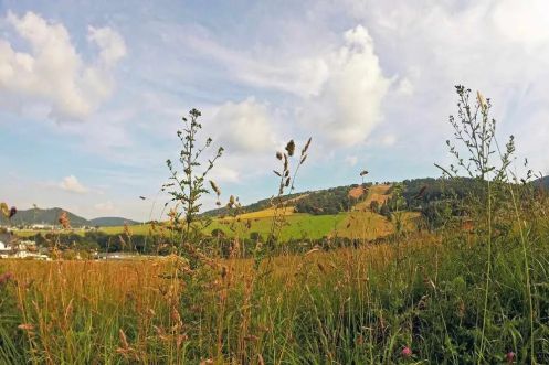 Let's Flow GmbH - Bildungsurlaub Wandern und Resilienz stärken in Schmallenberg