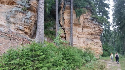 Let's Flow GmbH - Bildungsurlaub Wandern und Resilienz stärken in der Sächsische Schweiz (Margaretenhof)