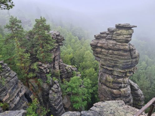Let's Flow GmbH - Bildungsurlaub Wandern und Resilienz stärken in der Sächsische Schweiz (Margaretenhof)