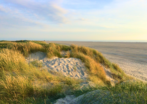 Let's Flow GmbH - Bildungsurlaub Achtsamzeit und Antistresstrainer*in werden an der Nordsee