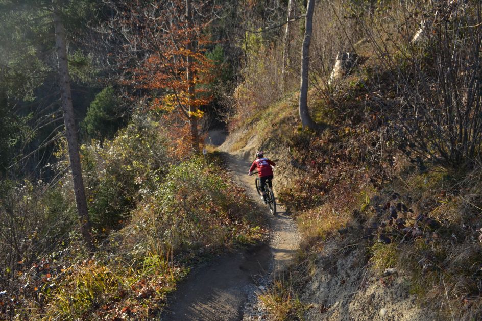 Let's Flow GmbH - Bildungsurlaub Mountainbiken und Resilienz stärken in Bad Orb