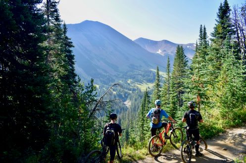 Let's Flow GmbH - Bildungsurlaub Mountainbiken und Resilienz stärken in Bad Orb
