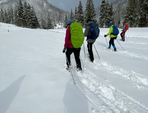 Let's Flow GmbH - Bildungsurlaub Schneeschuhwandern und Kommunikationsfähigkeit stärken in Kirchdorf / Tirol