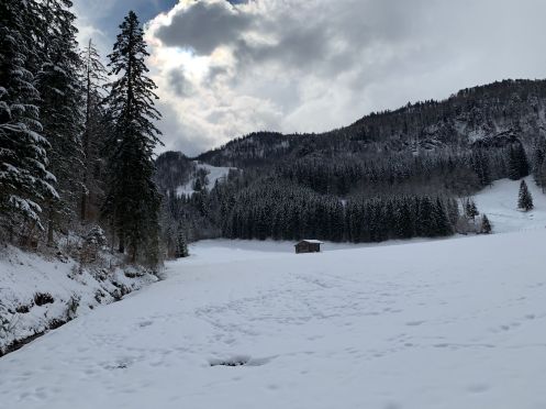 Let's Flow GmbH - Bildungsurlaub Schneeschuhwandern und Kommunikationsfähigkeit stärken in Kirchdorf / Tirol