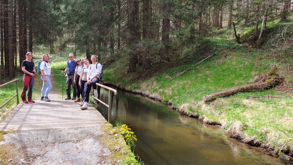 Let's Flow GmbH - Bildungsurlaub Wandern und Antistresstrainer*in werden in Bayerisch Eisenstein