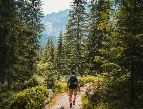 Let's Flow GmbH - Bildungsurlaub Wandern und Antistresstrainer*in werden in Bayerisch Eisenstein
