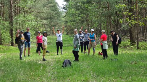 Let's Flow GmbH - Bildungsurlaub Wandern und Antistresstrainer*in werden in der Schorfheide