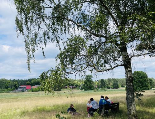 Let's Flow GmbH - Bildungsurlaub Wandern und Antistresstrainer*in werden in der Schorfheide