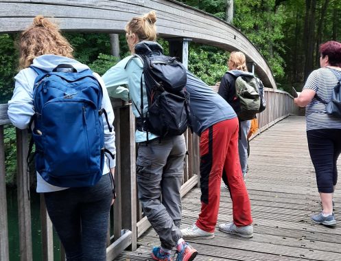 Let's Flow GmbH - Bildungsurlaub Wandern und Kommunikationsfähigkeit stärken in der Schorfheide