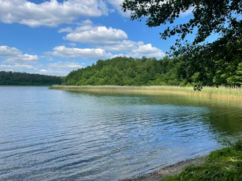 Let's Flow GmbH - Bildungsurlaub Wandern und Kommunikationsfähigkeit stärken in der Schorfheide