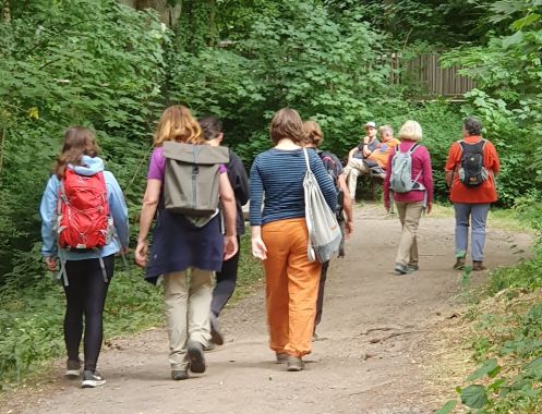 Let's Flow GmbH - Bildungsurlaub Wandern und Resilienz stärken in der Schorfheide