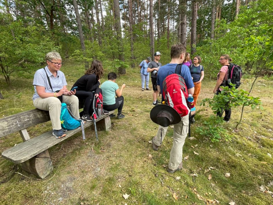 Let's Flow GmbH - Bildungsurlaub Wandern und Resilienz stärken in der Schorfheide