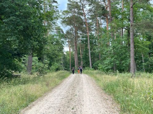 Let's Flow GmbH - Bildungsurlaub Wandern und Resilienz stärken in der Schorfheide